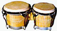 bongo.gif (20038 bytes)